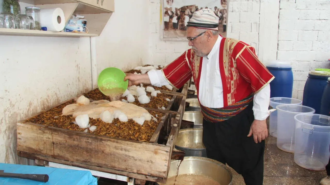 Meyan şerbeti mesaisi başladı