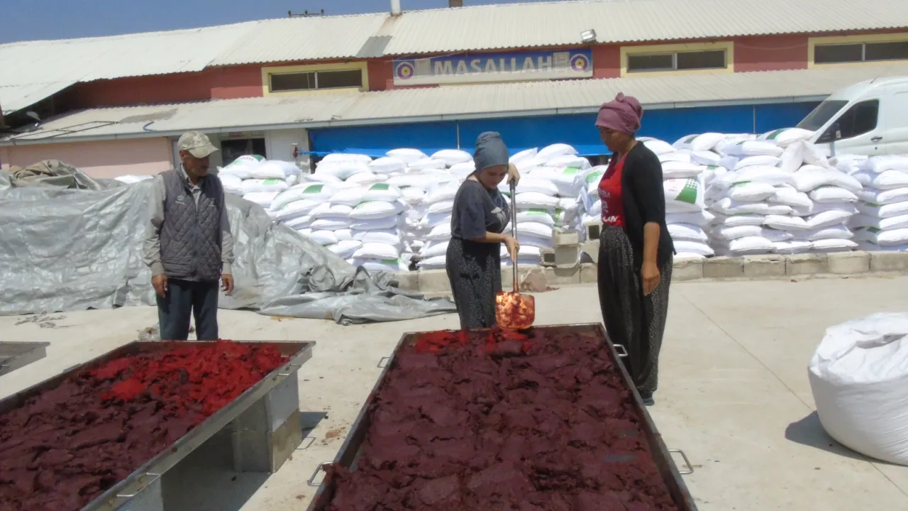 Tescilli İslahiye Biberinin Salça Yolculuğu Başladı