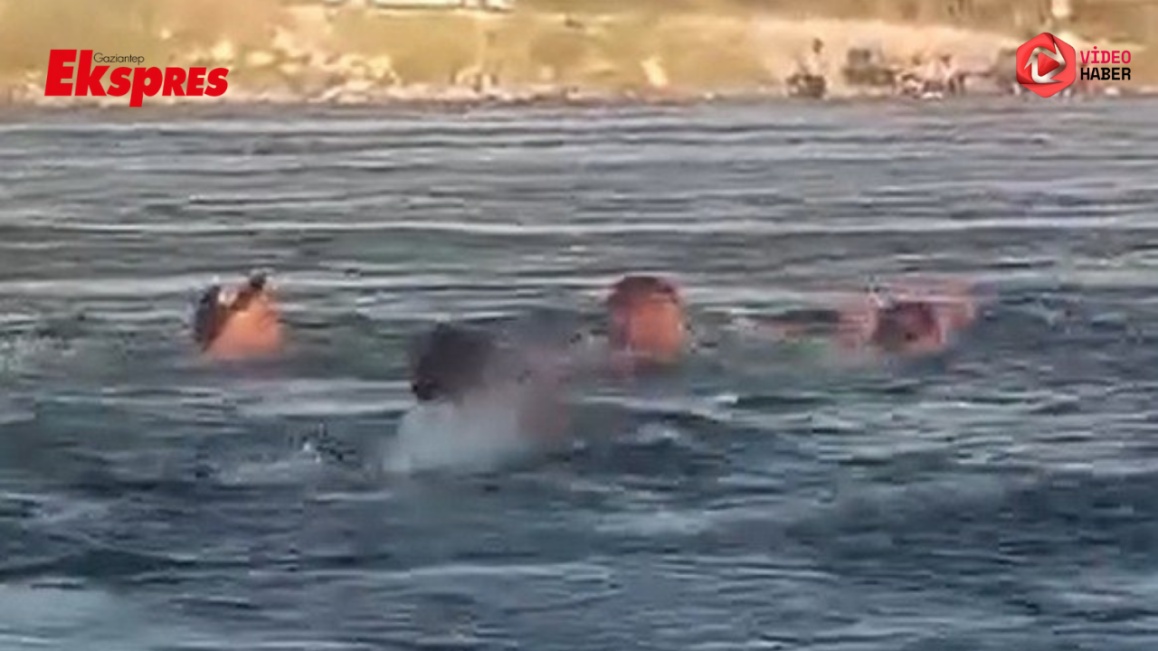Fırat Nehri'nde can pazarı: 3 kişi son anda kurtarıldı