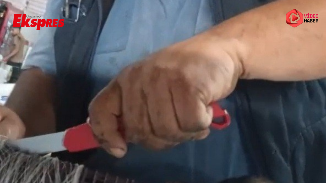 Kedinin imdat çığlığına şef yetişti