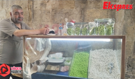 Gaziantep’in asırlık badem şekercisi
