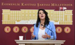 Karaca, bütçe görüşmelerinde Gaziantep firmalarını anlattı