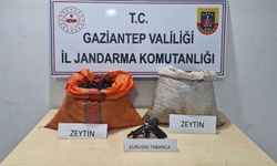 Suçüstü yakalanan zeytin hırsızlığı şüphelisi tutuklandı