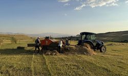 Çiftçilere tarımsal destek ödemesi bugün yapılacak