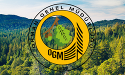 OGM 4.500 Geçici İşçi Alımı Yapacak!