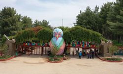 Hayvatan bahçesinde maymunlara dondurma ikramı