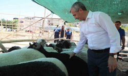 Tahmazoğlu kurban fiyatlarını duyurdu