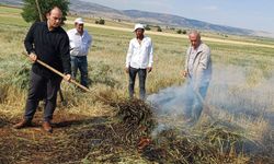 Gaziantep'te firik sezonu başladı