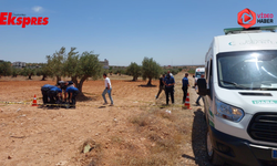 Gaziantep'te feci olay! Zeytin tarlasında şüpheli ölüm