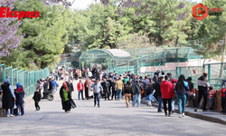 Gaziantep Doğal Yaşam Parkı'na “Yırtıcı Adası” geliyor