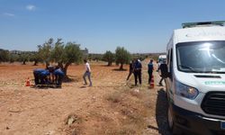 Gaziantep'te feci olay! Zeytin tarlasında şüpheli ölüm