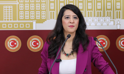 Sevda Karaca: "Irkçılığa Sessiz Kalmayacağız"