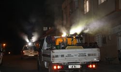 Nizip Belediyesi haşere sorununa karşı ilaçlama yaptı