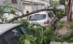 Gaziantep'te şiddetli fırtına