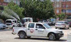 Nizip sokakları bayramda gül kokacak
