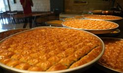 Bucslava nerede üretiliyor?