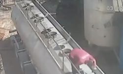 Gaziantep'te ayçiçek yağı fabrikasında patlama!