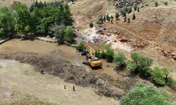 Araban'da Sıtma Pınar Çayı temizlendi