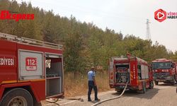 Belkız Köyü'nde yangın çıktı
