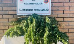 Gaziantep’te uyuşturucu operasyonu