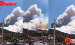 Manisa orman yangınından ilk görüntüler