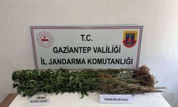 Gaziantep’te tehir tacirlerine büyük darbe