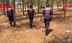 Jandarmadan orman yangınlarına karşı sıkı denetim
