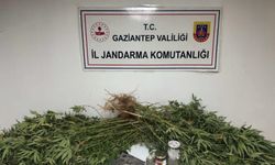 Gaziantep’te zehir tacirlerine darbe: 4 gözaltı