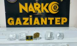 Gaziantep'te skunk operasyonu: 1 gözaltı