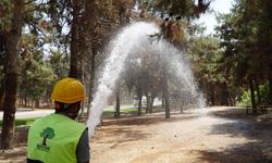 Dülük Tabiat Parkı’nda Yangın Tatbikatı