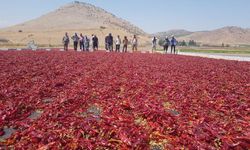 Gaziantep'te acı mesaisi başladı