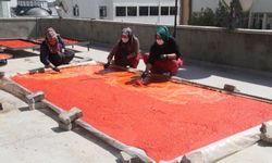 Gaziantep’te salça telaşı başladı