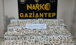 Tırdaki uyuşturucuyu narkotik köpeği buldu