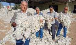Araban Ovası’nda üretici fiyat mağduru