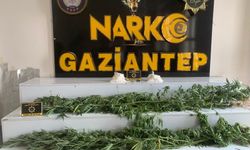 Gaziantep'te dev operasyonda 183 şüpheli tutuklandı