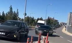 Seyir halindeki araç koyun sürüsüne çarptı