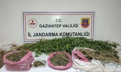 Gaziantep’te zehir tacirlerine operasyon