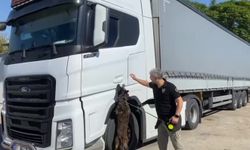TAG Otoyolu'nda 80 milyon liralık skunk operasyonu