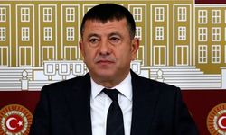 Veli Ağbaba kimdir?