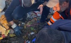 Altınlarını yolda düşürdü çöplükte buldu