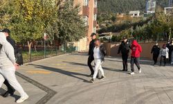 Dolandırıcılık ve bahis şebekesi çökertildi