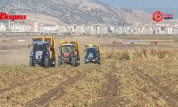 Gaziantep'te yerfıstığı hasadı başladı