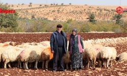 Hayallerini besicilikle büyüttüler