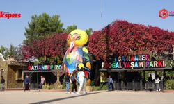 Gaziantep'te Doğal Yaşam Parkı'na ziyaretçi akını