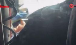 Gaziantep’te tehlikeli yolculuk