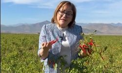 Fatma Şahin İslahiye’de çiftçilerle buluştu