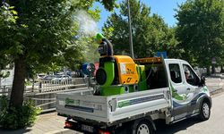 Gaziantep’te üvez alarmı!