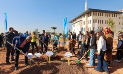 Gaziantep'te yeşil dönüşüm hamlesi