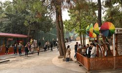 Gaziantep Doğal Yaşam Parkı, ara tatilde ziyaretçi rekoru kırdı