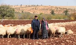 Hayallerini besicilikle büyüttüler